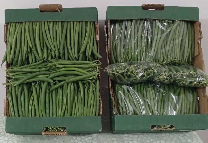 Green Beans Detail 4